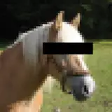 Neighzorr from patreon