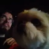 Moqlnkn from patreon