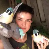 micknagerie from patreon