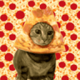 wellvos from patreon