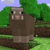 Ethan from patreon
