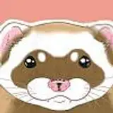 moodyferret from patreon