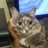 Нкаритош from boosty