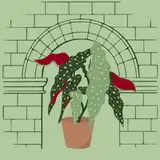 Begônia Builds from patreon