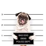 ジェニファー from fanbox