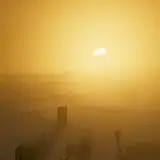 비둘기 석궁쓰는 from patreon