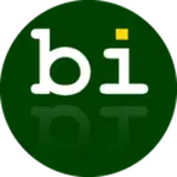 bibisco from gumroad