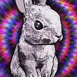 hypnobunny69 from patreon