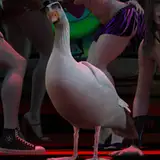 Entitled Goose from patreon