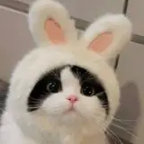 goorm_asmr from patreon