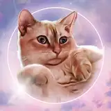 whitecatwhispersasmr from patreon