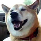 RelaxingASMR from patreon