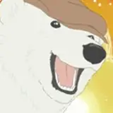 Shirokuma Aizawa from patreon