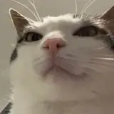 Ded_173 from patreon