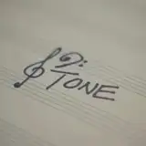 12tonevideos from patreon