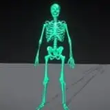 Truebones Motions Animation Studios from gumroad