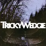 TrickyWedgie from patreon